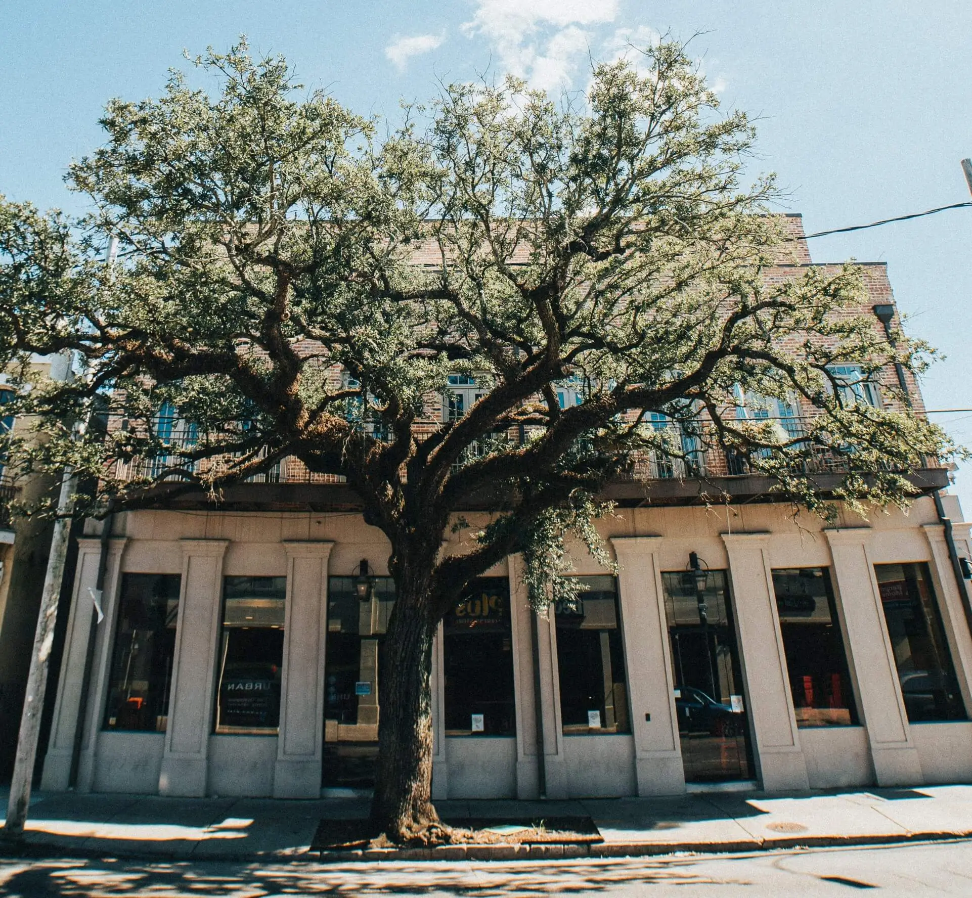 2802 Magazine building